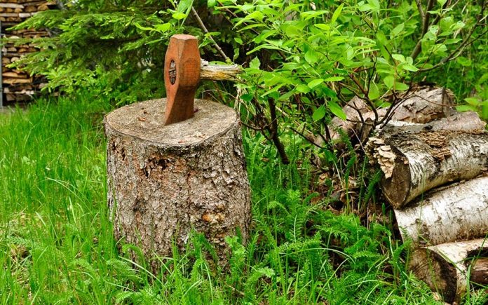 12ac80b6fdda073e46f27e2999f2dbe7_XL