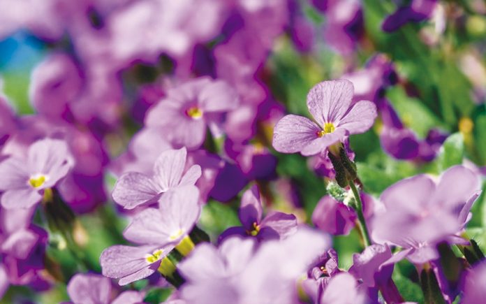 88431b5dd05b1e90847e42adef0f6769_XL